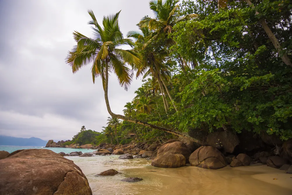 transfers с острова Илья-Гранди